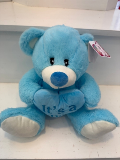 Baby Bear with Its A Boy Heart
