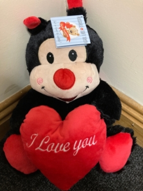 30cm Ladybird With Red Heart