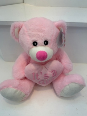 Baby Bear with Its A Girl Heart